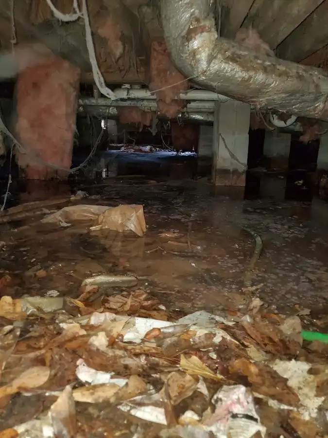 Crawl space flood assessment for Leak Detection & Repair in Mineral Wells